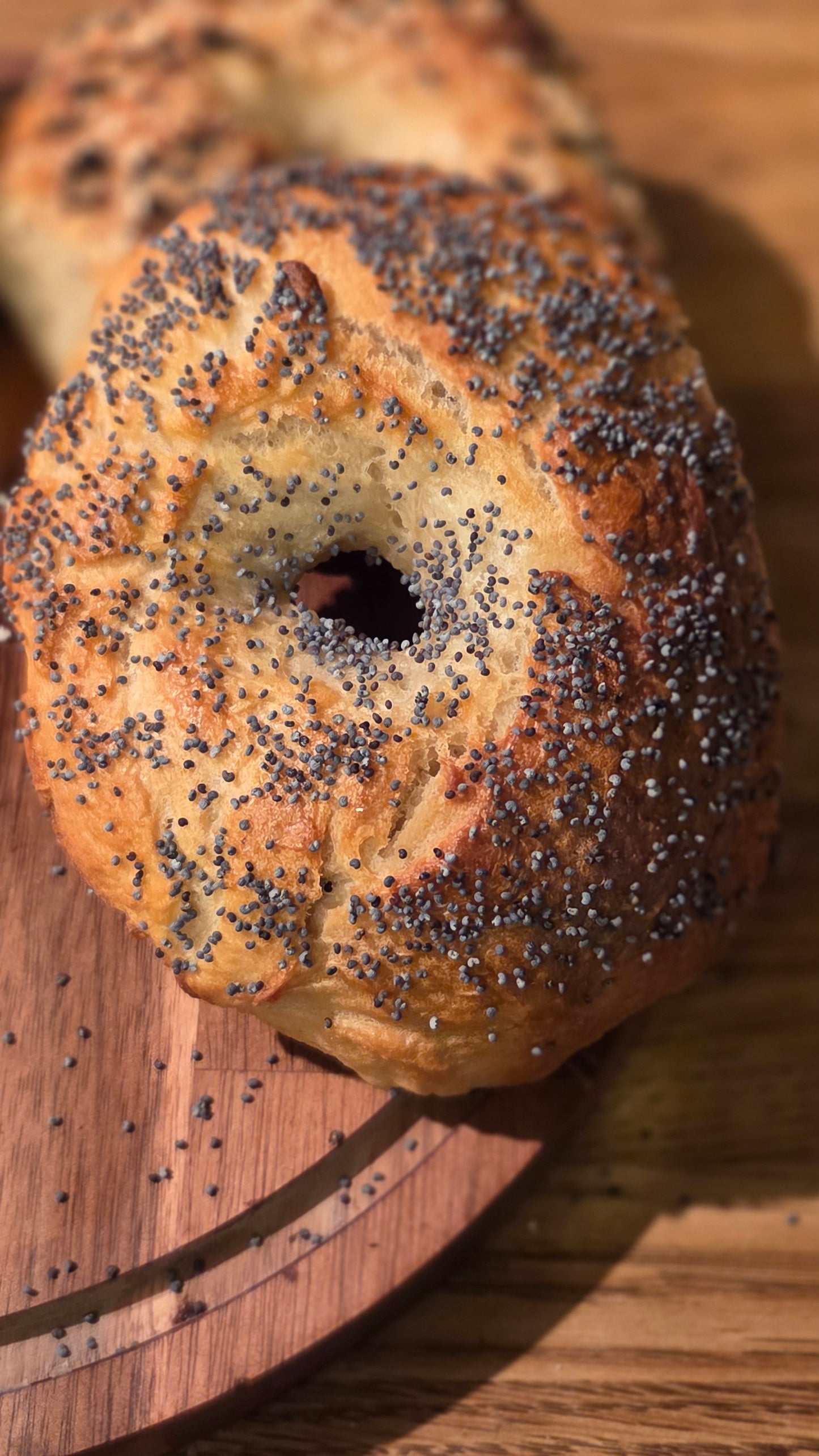 Sourdough Bagels