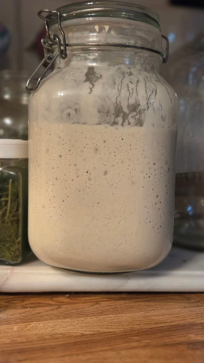 Sourdough 101 Baking Class