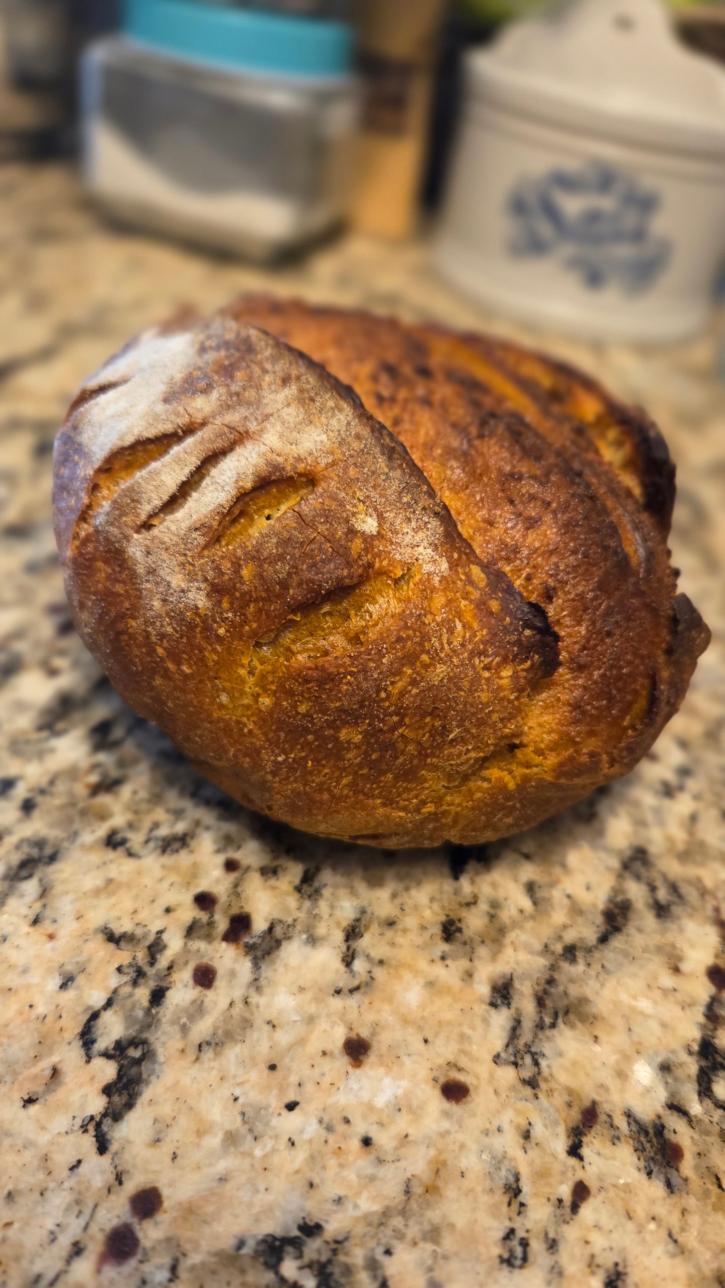Fall Flavors Sourdough Loaves