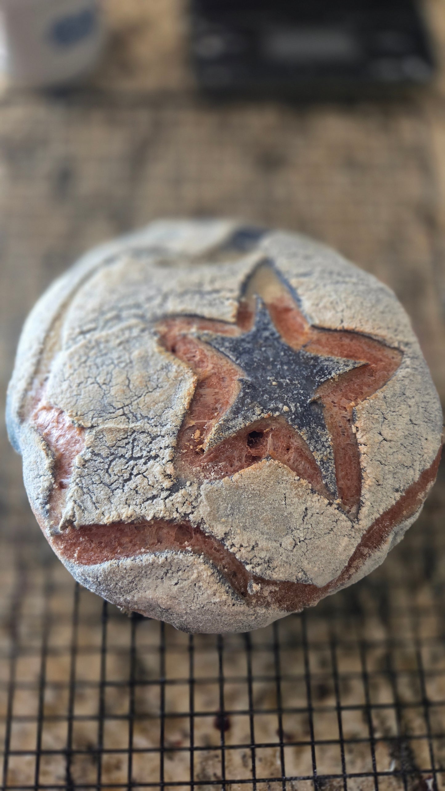 Americana Sourdough