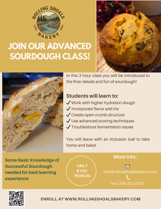 Advanced Sourdough Class