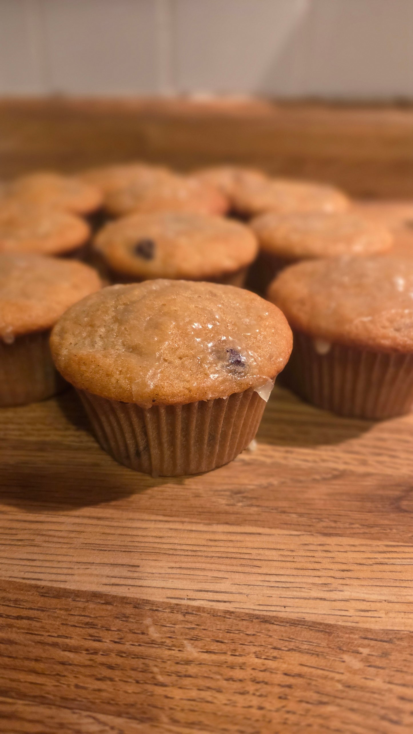 Sourdough Muffins (1 dozen)