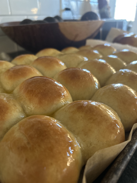 Sourdough Dinner Rolls
